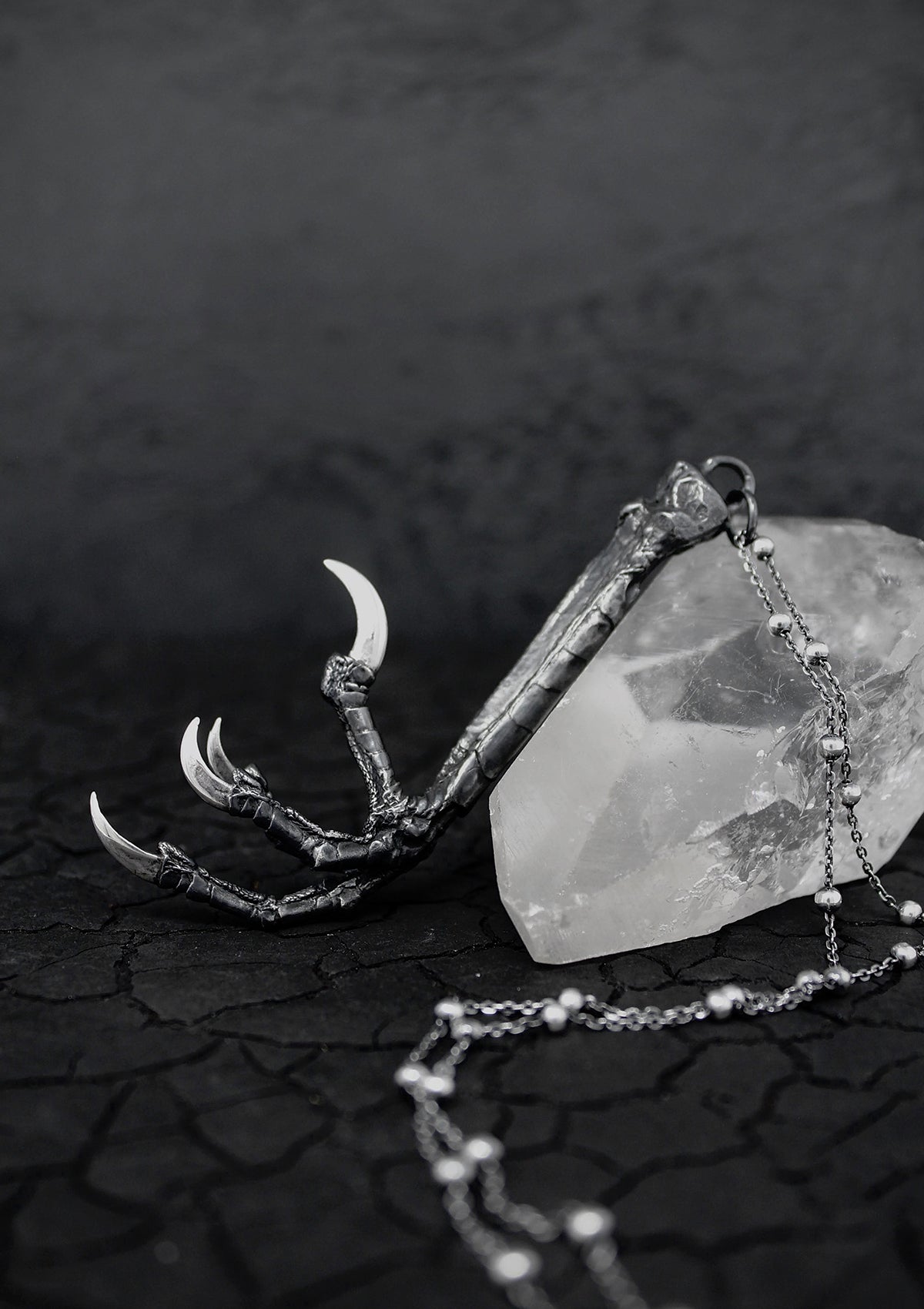 Corvus - Crow talon pendant in solid sterling silver - Thorn & Claw Jewellery